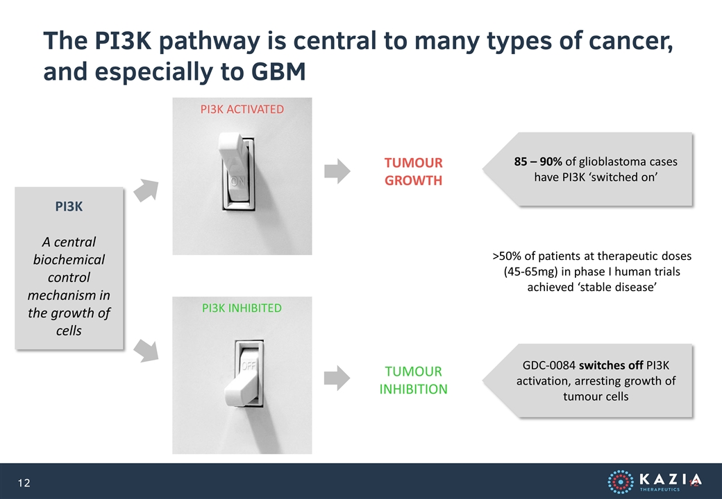 Slide 12